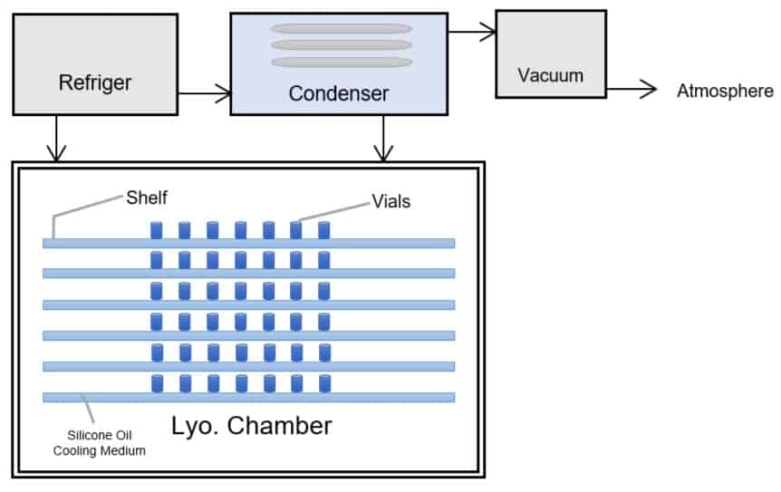 Lyophilization or Freeze-Drying: The Definitive Guide - Lyo Chamber