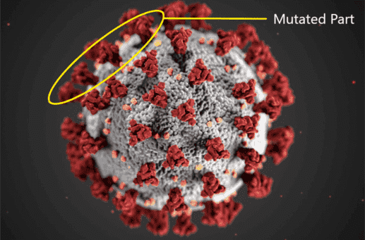 Corona Virus Upgraded. Will The Covid Vaccine Fight Back? - corona virus min 1 1 optimized